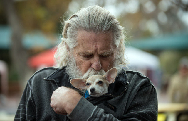 02.dp.shaperhall.1208.ap